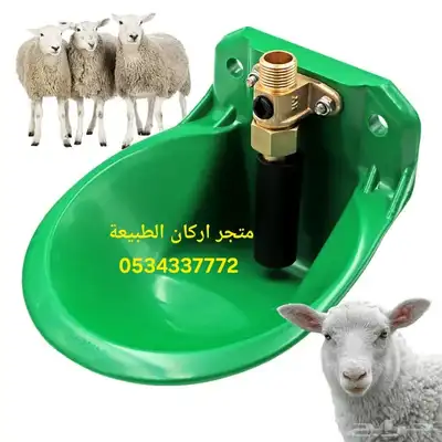 مشربية او سقاية ماء للاغنام 4