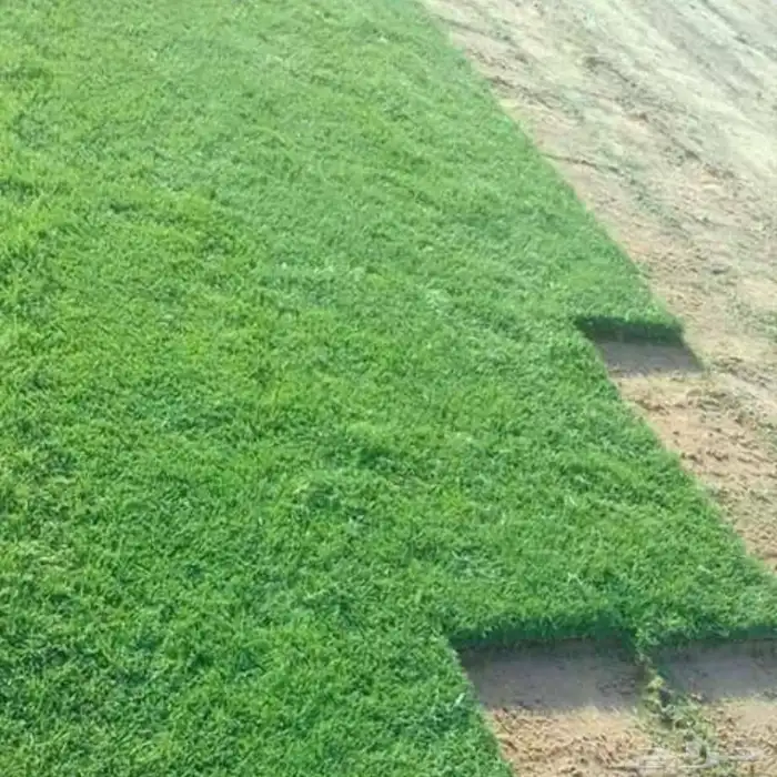 تنسيق حدائق توريد وتركيب 7