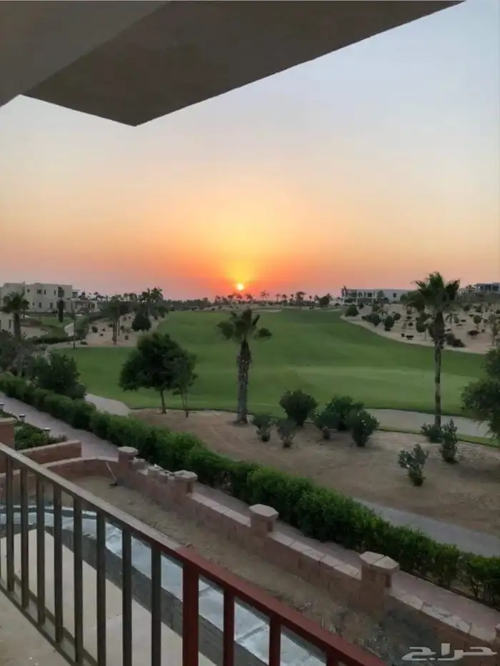 تنسيق حدائق توريد وتركيب 16