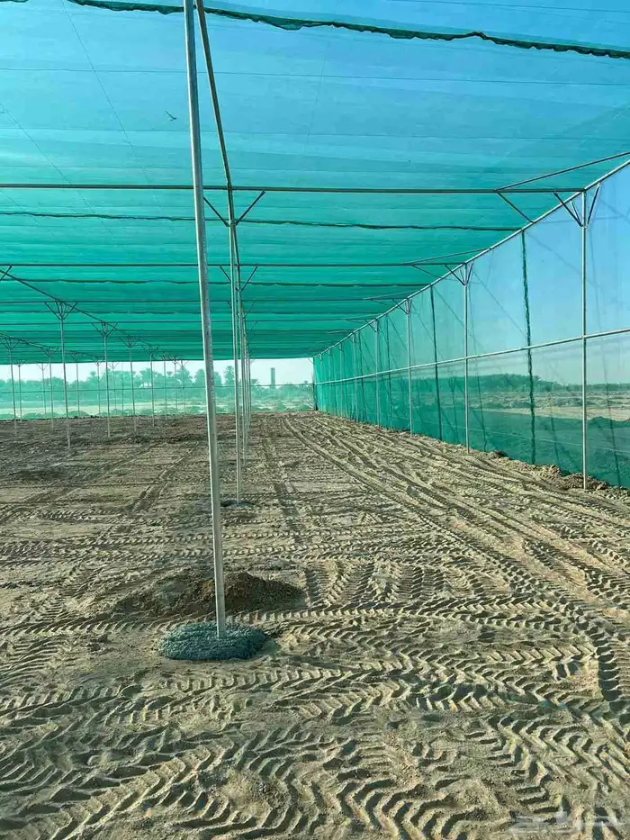 بيوت محمية مشاتل 8