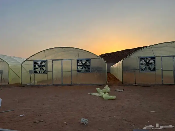 بيوت محمية مشاتل 12