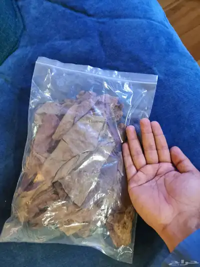 ورق اللوز Almond leaves index