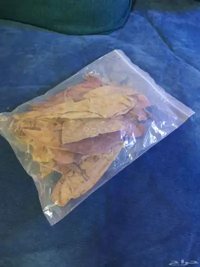 ورق اللوز Almond leaves index