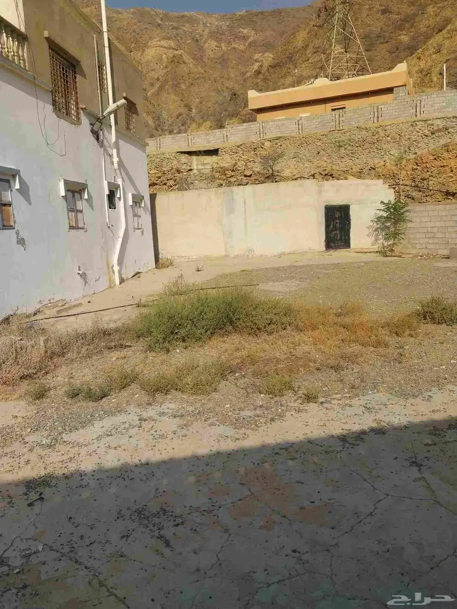 بيت 3
