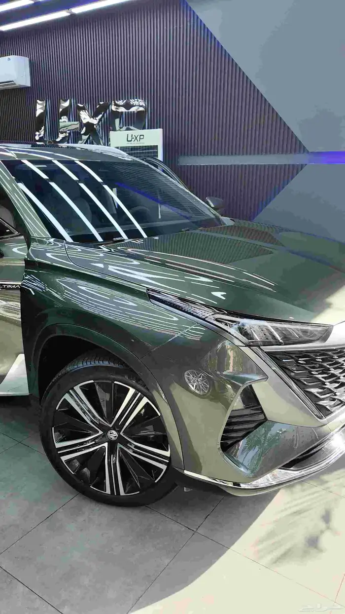 حماية السيارات 5