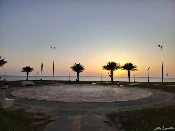 قطع اراضي في الوسقه 0