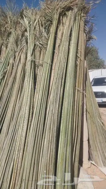 نشتغل جميع أعمال التراثيه بنيان المجالس والمساجد والاستراحات 4