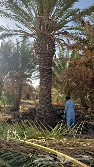 يوجد الدنيا جميع أنواع اتخيل وجمع المقست المختلفهه اتوصل جو 1