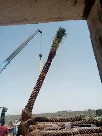 يوجد الدنيا جميع أنواع اتخيل وجمع المقست المختلفهه اتوصل جو 6