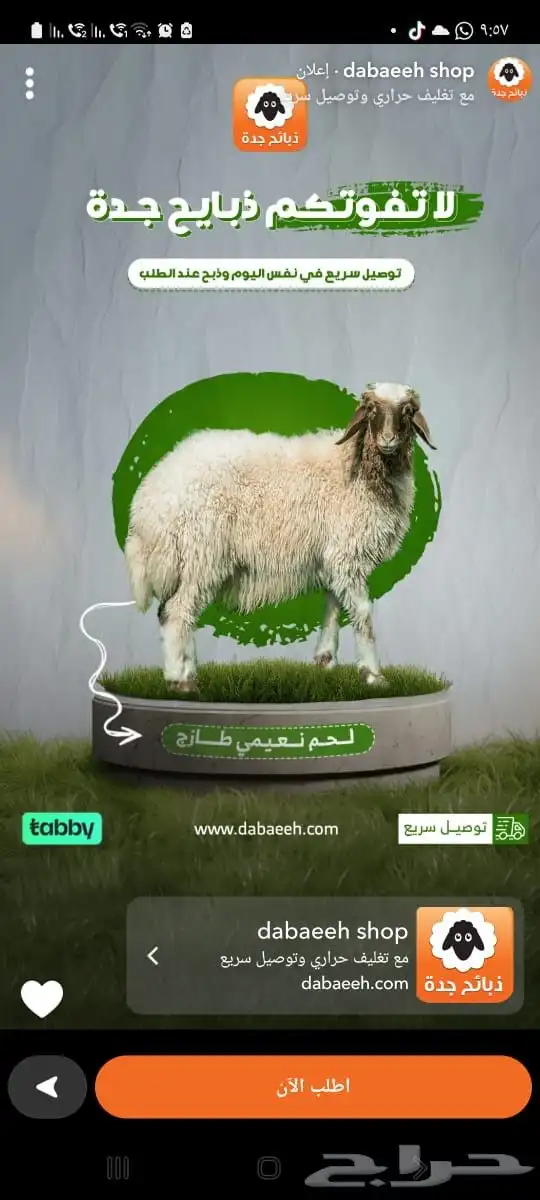 لحم نعيمي جده- ذبايح نعيم - نعيمي بلدي - خروف نجدي كشميري 0