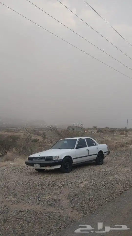كرسيدا 1995 14