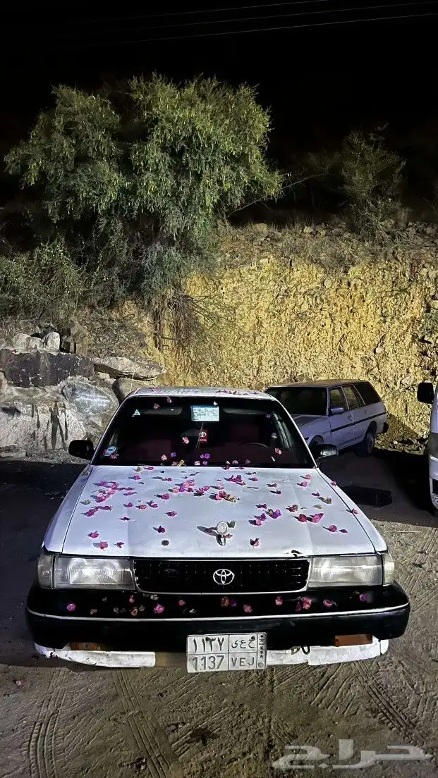 كرسيدا 1995 3