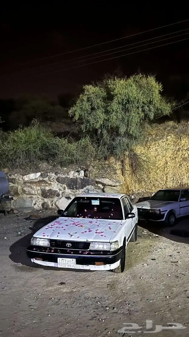 كرسيدا 1995 2