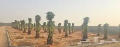 يوجد الدنيا جميع أنواع اتخيل وجمع المقست المختلفهه اتوصل جو 4