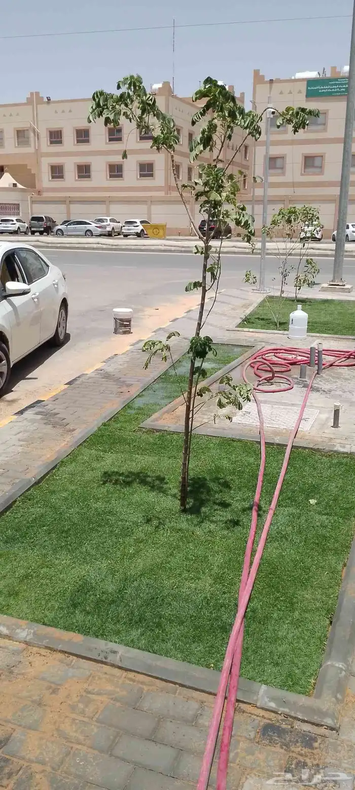 ثيل سي 2000الخرج في القصيم 9