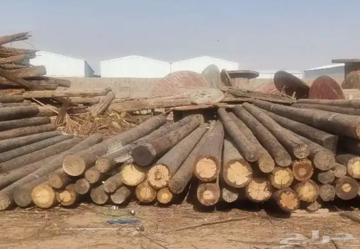 خشب اعمده كهرباء للبيع 7