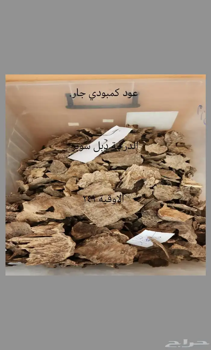 عروض الطيب 7