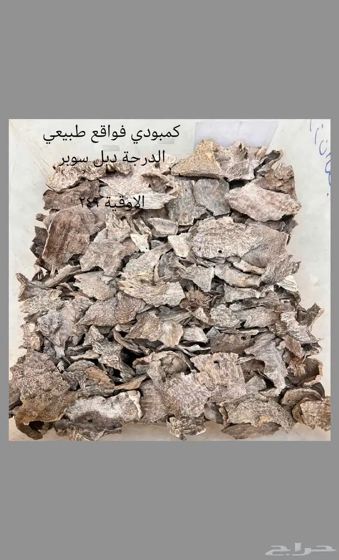 عروض الطيب 6