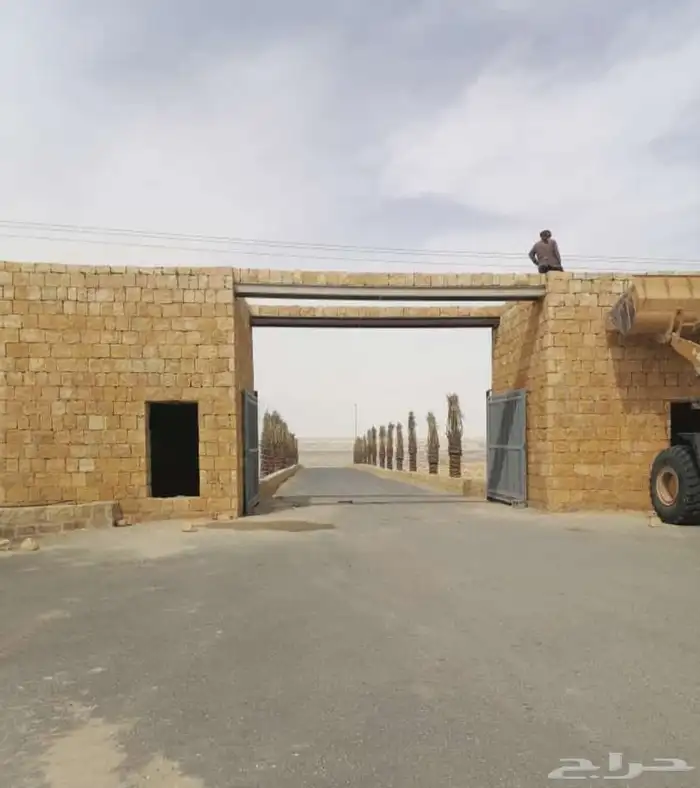 نخل وشنطني زينه للفل واستراحات والبيوت 4