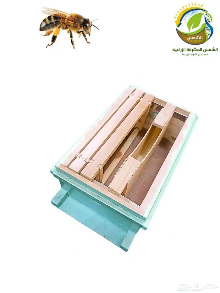 نوايا تلقيح النحل 0