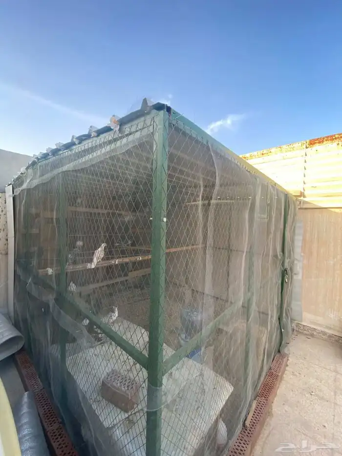 عشه حمام 3 في 3 للبيع 0