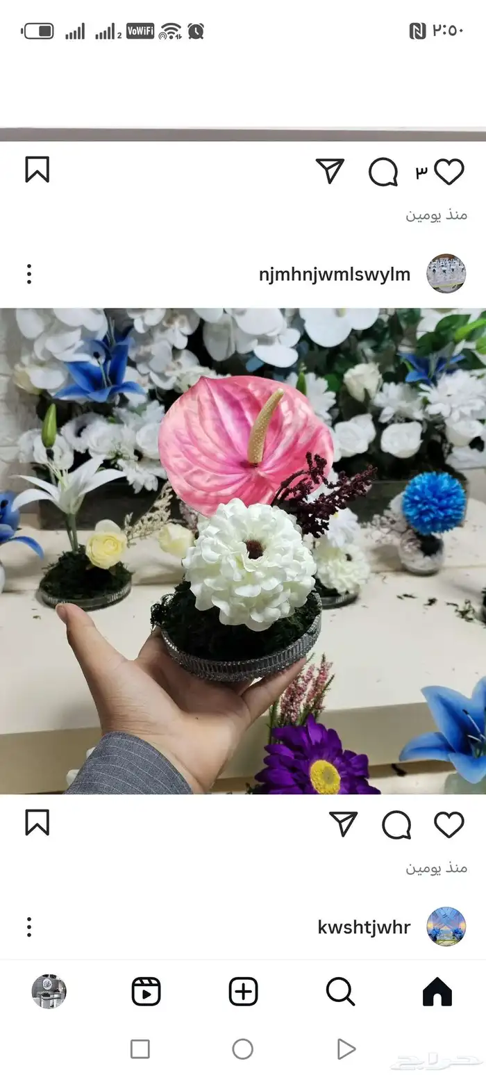 عروض نجم فرحة السويلم 9