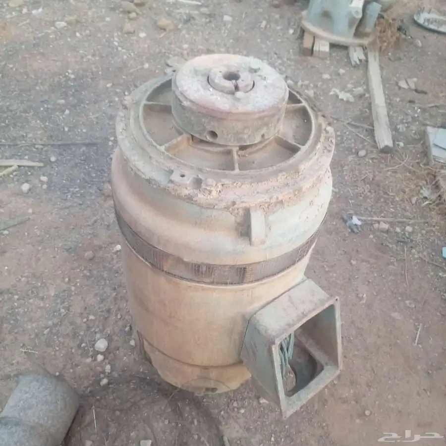 راس كهرب للبيع 60 حصان طيب لم يفك بدون طبلون 2