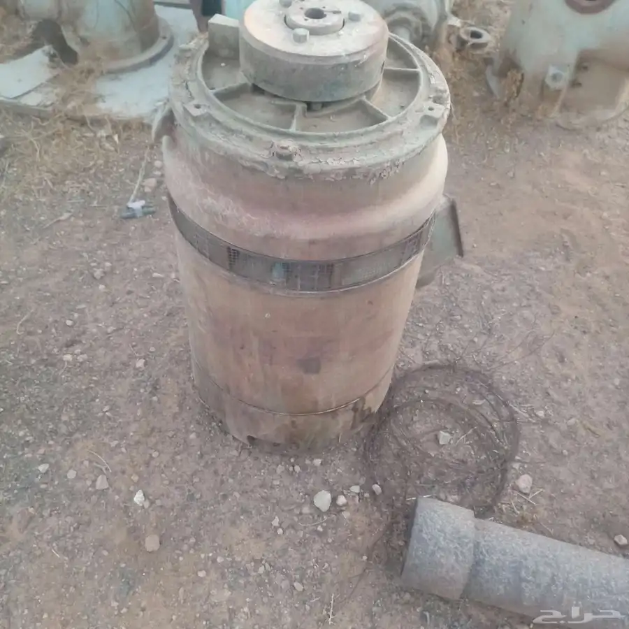 راس كهرب للبيع 60 حصان طيب لم يفك بدون طبلون 1