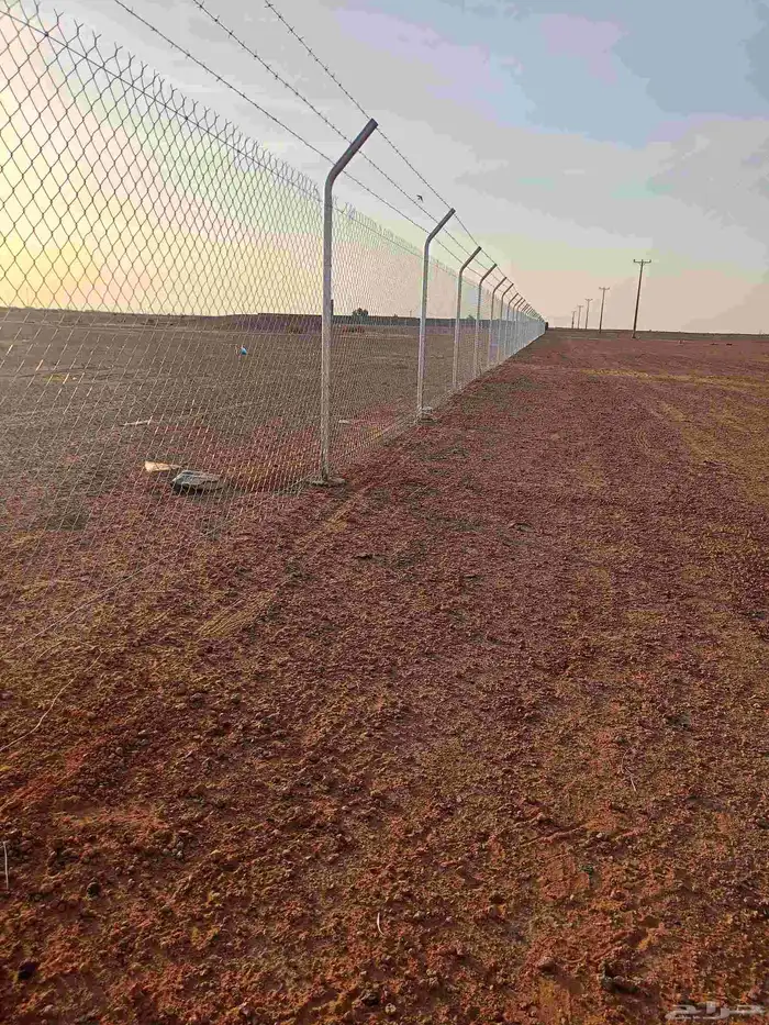 شبوك وسياجات المملكة 0