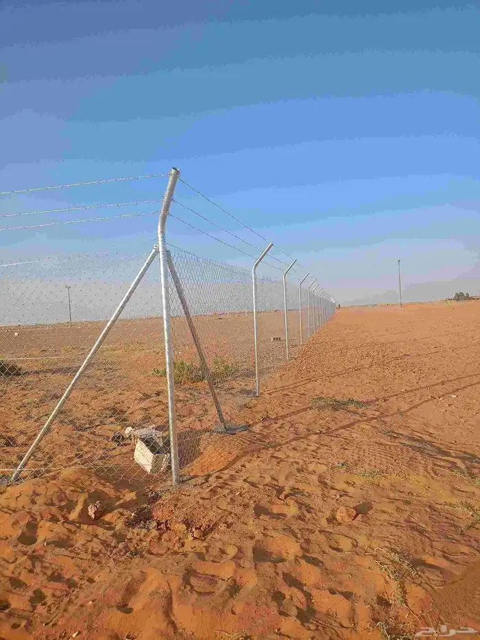 شبوك وسياجات المملكة 6