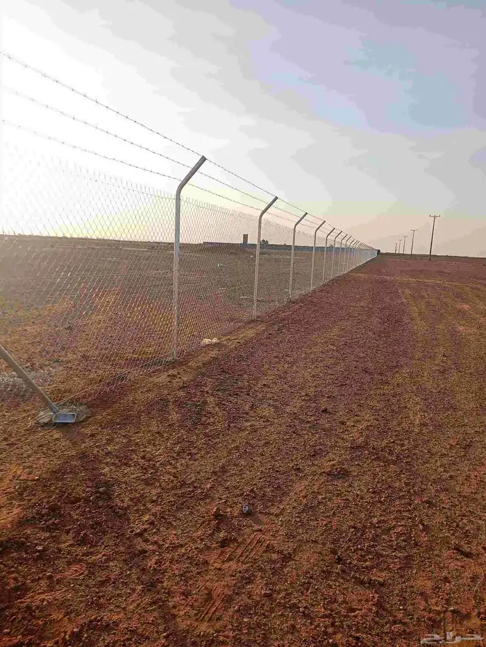 شبوك وسياجات المملكة 2