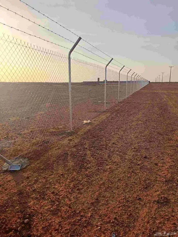 شبوك وسياجات المملكة 1