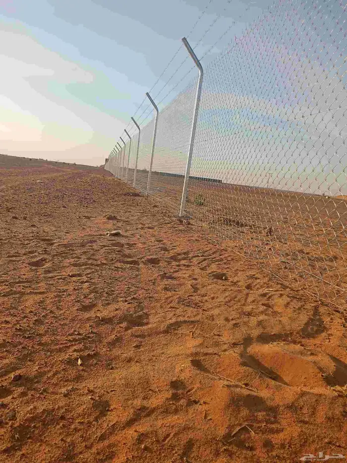 شبوك وسياجات المملكة 4