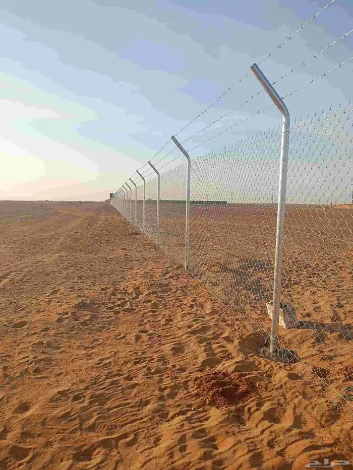 شبوك وسياجات المملكة 5