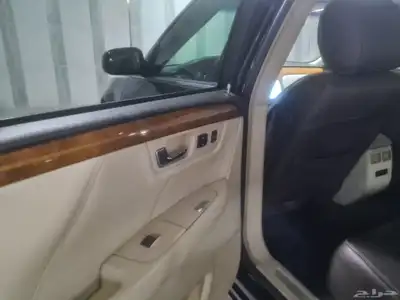 كادلك .بلاتينوم .نظيف 12