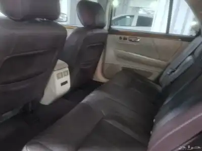 كادلك .بلاتينوم .نظيف 10