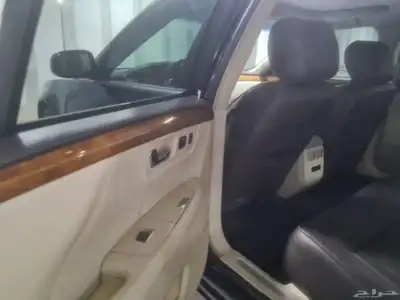 كادلك .بلاتينوم .نظيف 11