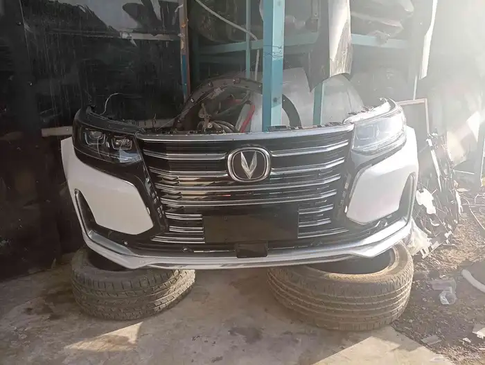 صدام شانجان 95 - مديل -22-23-24 1