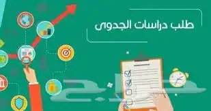 دراسات جدوي 0