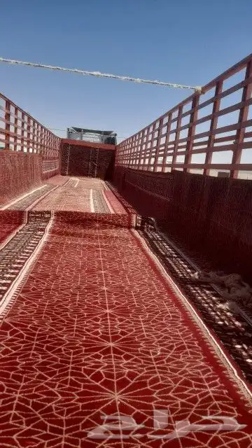 تريلا 16متر لنقل الإبل و الهجن والحمولة الصناعية وكل الحمولة 3
