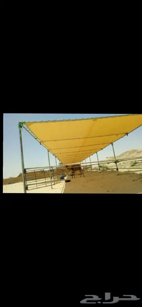 مضلات ابل ثابته ومتحركه تور الجزيره 95 9