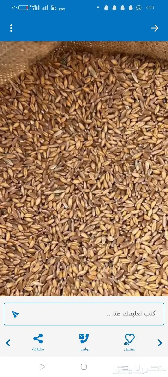 حب بر قياض بدون كيماوي طبيعي عضوي بلسمر 1
