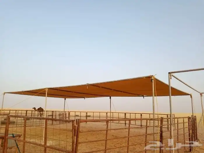 مضلات ابل ثابته ومتحركه تور الجزيره 95 0
