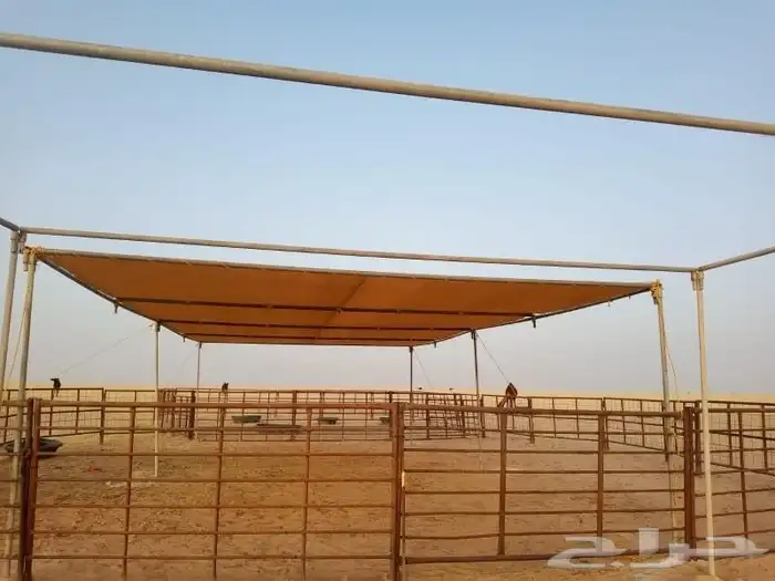 مضلات ابل ثابته ومتحركه تور الجزيره 95 8