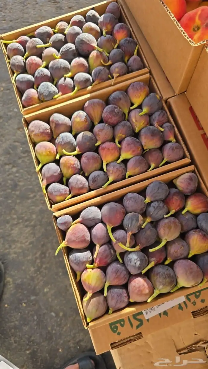 حماط وبرشومي الطايف وصل الرياض مع توصيل مجاني وبخارا سكري 3