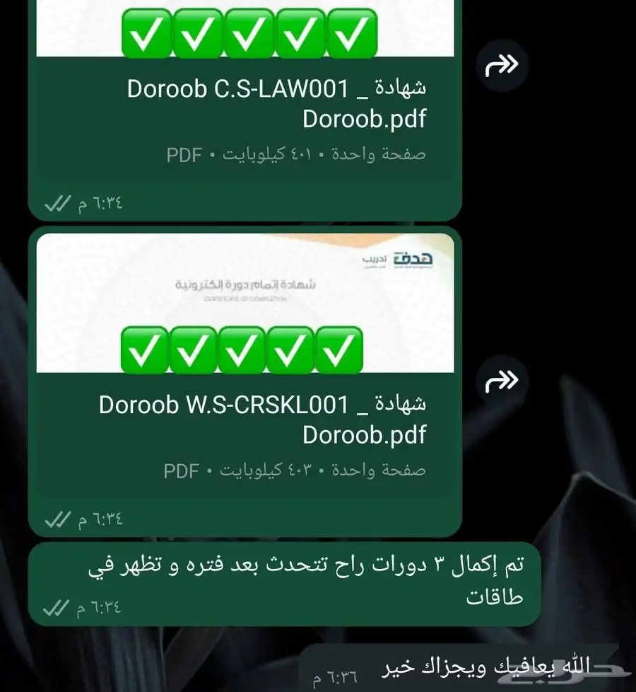 حضور دورات تدريبية 5