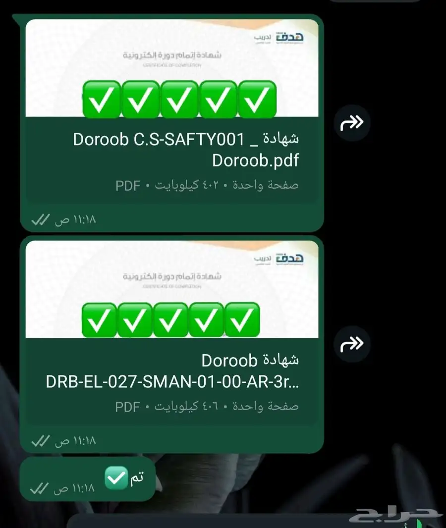حضور دورات تدريبية 4