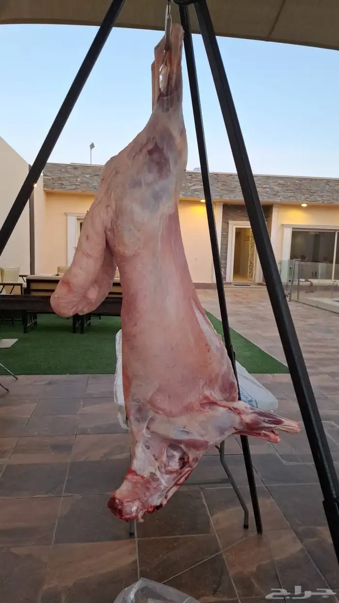 معلم مشاوي 0