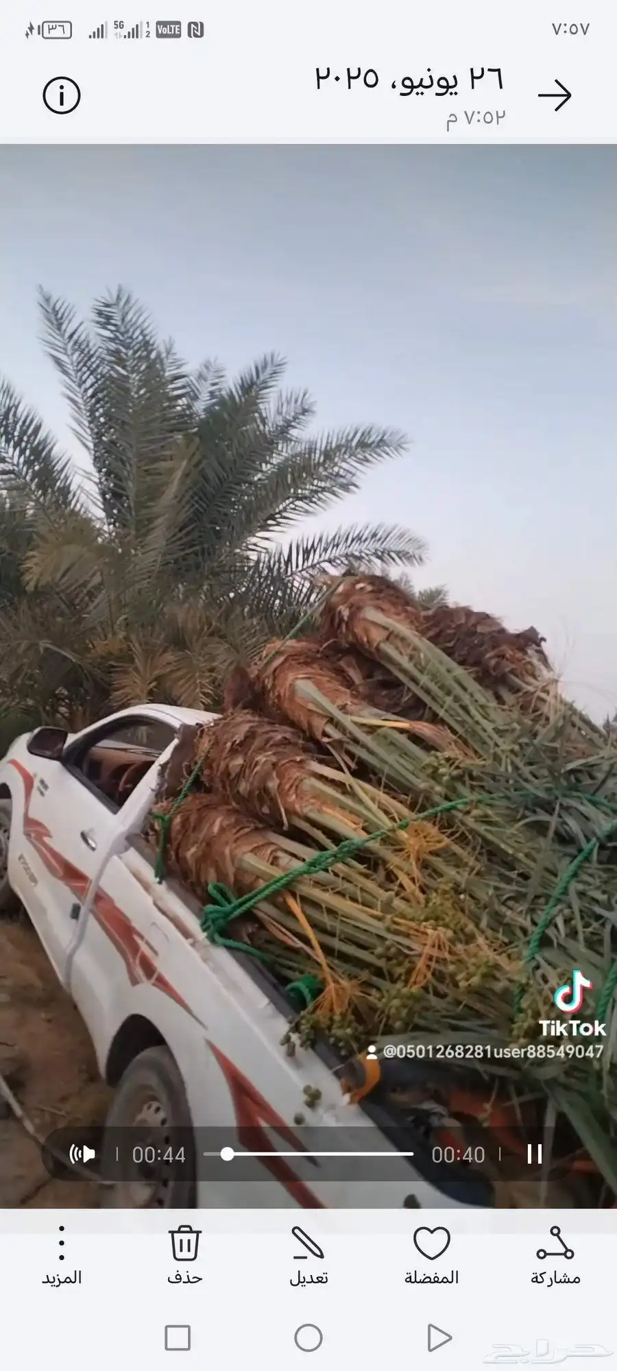 يوجد لي 23نخله منها 9نبوت سيف 13 اخلاص و1منيفي 2