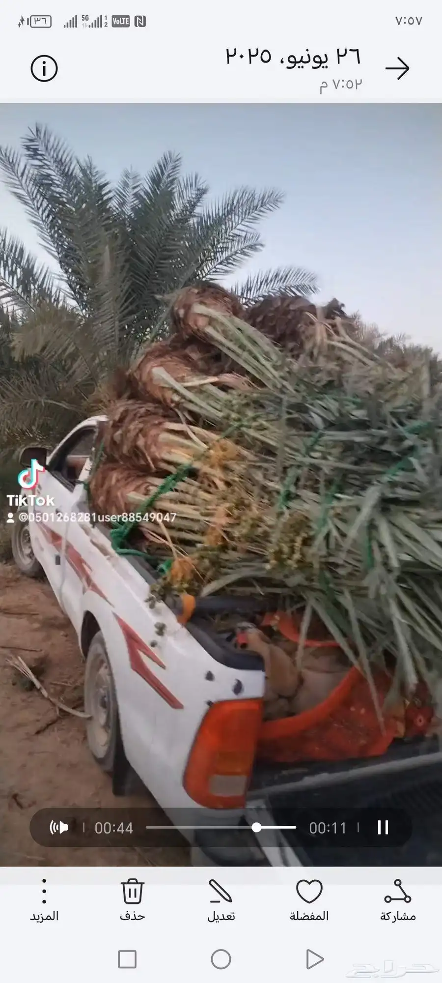 يوجد لي 23نخله منها 9نبوت سيف 13 اخلاص و1منيفي 0
